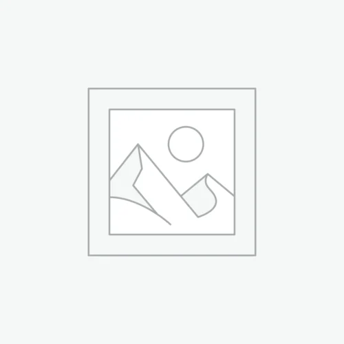 Before Saying 'I DO' MINI-GUIDE EDITION: Your ESSENTIAL Guide To Premarital Counseling